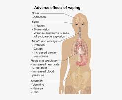 There's a lot of fake science and dire warnings around the side effects of vaping but not all of it is rubbish. Possible Adverse Effects Of Vaping Vaping Effects Png Image Transparent Png Free Download On Seekpng