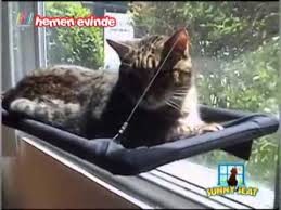 Cama Asilan Kedi Yatagi Sunny Seat Hemenevinde Com Youtube