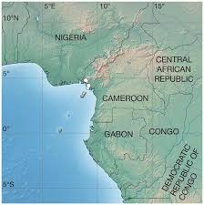 Image result for Cryptosepalum maraviense