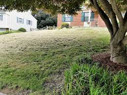 But it can be difficult to know when to mow it may be slightly too early to start mowing your lawn. My Lawn Was Cut Too Short Lawnsite Is The Largest And Most Active Online Forum Serving Green Industry Professionals