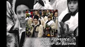 Sofia vicoveanca (real name sofia fusa) is a famous romanian singer of popular music from the bucovina area and film actress.she was born on september 23, 1941 in toporauti, romania. Plugusor Sofia Vicoveanca Shazam