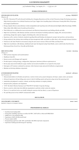 ssis developer resume sample mintresume