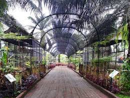 Kebun binatang bangabeng sergai : Rahmat Zoo Park Kebun Binatang Di Perbaungan Pariwisata Sumut