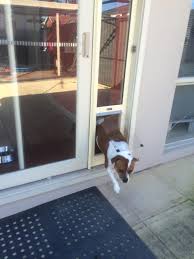 Powerful and easy to use. Pet Door Insert Large Patio Link