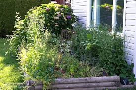 If the location is in shade for part of the day, try to weed then. How To Revive Flowerbeds You Don T Take Care Of