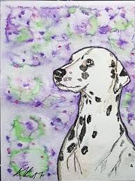 Dalmatiner Zeichnen Forum