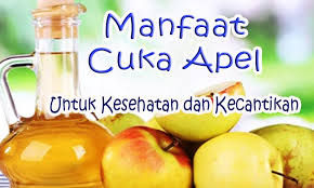 Kehebohan itu mungkin telah agak sedikit mereda beberapa bulan terakhir, tapi beberapa. Manfaat Cuka Apel Untuk Kesehatan Dan Kecantikan Fur Android Apk Herunterladen