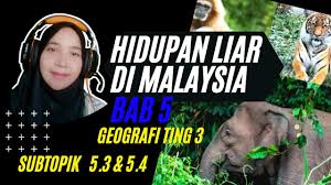 Di malaysia, terdapat banyak spesies unik memandangkan hutan di malaysia beriklimkan khatulistiwa dan mempunyai hutan. Bab 5 Hidupan Liar Di Malaysia Youtube