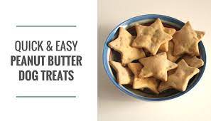 Place in a sealed container on parchment paper in the refrigerator for at least 30 minutes prior to feeding. Quick Easy Peanut Butter Dog Treats Puppy Leaks