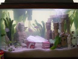 We did not find results for: Interested In Tank Decorations Aquarium Advice Aquarium Forum Community Aquarium Fish Tank Aquarium Fish
