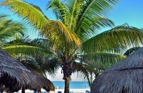 Vacances au mexique / cancun ➤ ici. Cancun Mexique Christophe Laclef Flickr