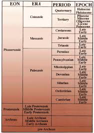 Browse or search thousands of free teacher resources for all grade levels and subjects. Fantastic Fossils Lesson Teachengineering