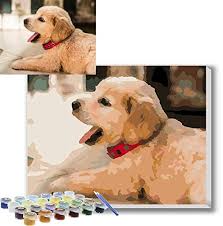 (fairly easy to pick from your mobile or computer. Extra Large Paint By Numbers Top 5 Kits To Try In 2021 Ledgebay