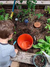 I make a simple diy composting worm tower using 4 inch pvc pipe, window screen and a 4 inch pvc coupling. Diy In Ground Worm Bin Carmel Mountain Preschool