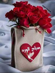 🌹اللهم ارزقنا جنتك🌹 on X: صباح الورد والياسمين والفل والجوري للمداومين  صباحكم نور وسرور وسعادة صباحكم توفيق وتيسير وسداد 🌼🌺🌸❤️💜🧡🤍💛💚💙أما  الناس النايمين يسدكم كسل 😂😂😂 t.cobWjPrwkjet  X