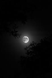  Pin Oleh Gguelayy Di Autumn Wallpaper Gelap Langit Malam Fotografi Alam