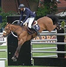 Since childhood, nayel had a deep interest in horse riding and show jumping. Nayel Nassar Wikipedia