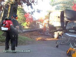Cullins Service Leaf Removal Has A Scag Giant Vac Wright Mower W A Jrco Leaf Plow And 2 Redmax Ebz8500 S To Make The Le Fall Clean Up Landscape Lawn Equipment