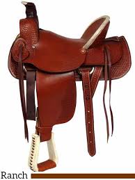 English is more difficult depending on the discipline and requires more. Western Saddle Buying Guide And The Eight Best Western Saddles Equiniction