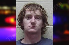 Austin Dingler — Haralson County Jail Bookings