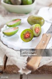Image result for foto minikiwi