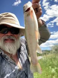 New Mexico Fishing And Stocking Reports July 18