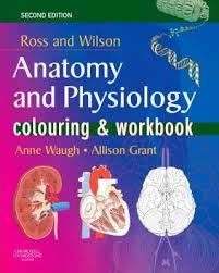 Ross And Wilson S Anatomy And Physiology Colouring And Workbook Anne Waugh 9780443103681 Ross & wilson anatomy and physiology in health and illness 12th edition. workbook anne waugh 9780443103681