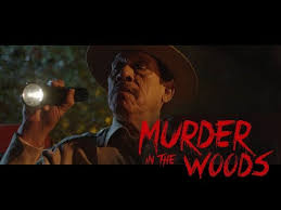 Bookmark us and use full 2movierulz.ch url download movierulz app and any issues let us know live chat. Murder In The Woods 2017 Hindi Dubbed Watch Movie Online Free Movi Pk