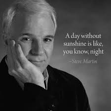 Funny Steve Martin Quote Steve Martin Steve Martin Quotes Inspirational Quotes