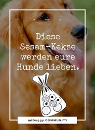 sesam hundekekse midoggy community hunde hundekekse eis fur hunde