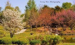 Yuko En Friendship Garden On The Elkhorn Georgetown Kentucky Www Yukoen Com Lacey Mae Photography Japanese Garden Photographer Names Outdoor