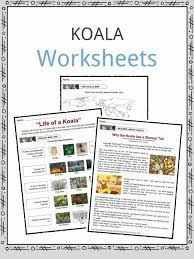 Camel facts this animal is well known for having a hump back and living in the desert, but did you know the camel is a very interesting animal? Koala Facts Worksheets Information For Kids