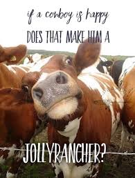 Cowboy Humor Funny Animal Jokes Punny Jokes Cows Funny