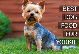 Other essential ingredients in the formula include wholesome grains such as brown rice and barley, garden vegetables, fruits, sweet potatoes, carrots, and others. Dog Food For Yorkies Cheap Buy Online