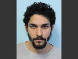 Springfield man charged with 8 car break-ins in East Forest Park