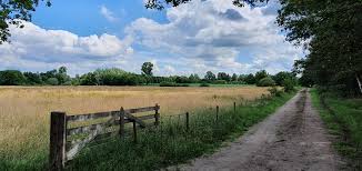 Voor henri was 'de kolonie' overigens maar een tijdelijk onderkomen. Trage Tocht Wortel Kolonie Wandelen In De Maatschappij Van Weldadigheid Ambulare