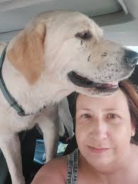 LOST PETS IN KANAWHA COUNTY WV