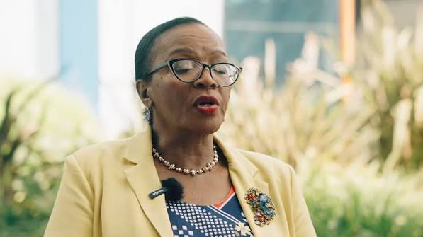 Sophie Mokoena’s career was shaped by apartheid and South Africa’s transition into democracy. , Born in the rural town of Frankfurt in the Free State, she pursued a Teacher’s Diploma in 1991. She was ...