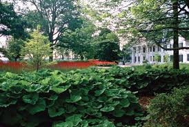 The New American Garden The Landscape Architecture Of Oehme Van Sweden The Cultural Landscape Foundation Back Garden Design Garden Tiles Landscape