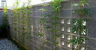 庭園造景 桃園 羅公館造園設計施工 儷景園藝有限公司 痞客邦 outdoor structures outdoor structures