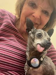 How could Radar have raised a 20-year-old turtle from a pup? 🤨