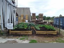 Amtrak auto train station in sanford, florida (fl) is within easy driving distance from central the sanford station, conveniently located with easy driving access to many popular central and costal. 10 Yards Mushroom Mulch Delivered Orlando Area For Sale In Orlando Florida Classified Americanlisted Com