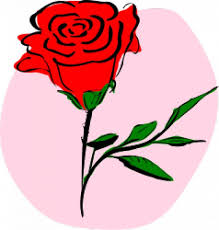 Rose Svg Images Free Vectors Stock Photos Psd