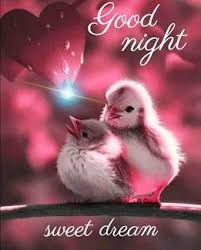 Good Night Images For Whatsapp Free Download Hd Wallpaper Pictures Photos Of Good N Good Night Sweet Dreams Beautiful Good Night Images Photos Of Good Night