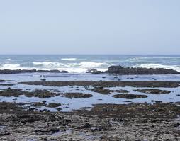 Fitzgerald Marine Reserve The Simple Proof