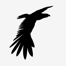 Eagle Black Soaring Silhouette Vector Eagle Flying Eagle Png And Vector With Transparent Background For Free Download See more ideas about eagle silhouette, eagle, scroll saw patterns. eagle black soaring silhouette vector
