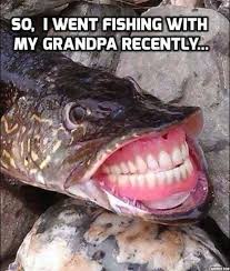 September S Best Follower Submissions Go Out Local Funny Fishing Memes Fishing Humor Fishing Memes