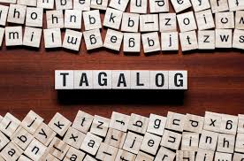 نتیجه جستجوی لغت [tagalog] در گوگل