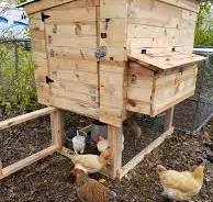 Recycling ideas for a chicken coop