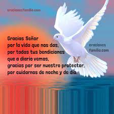 Aprovechemos esta época para dar gracias a dios y los que nos rodean por todo lo que hemos recibido. Oracion Corta De Accion De Gracias A Dios Oraciones De La Familia